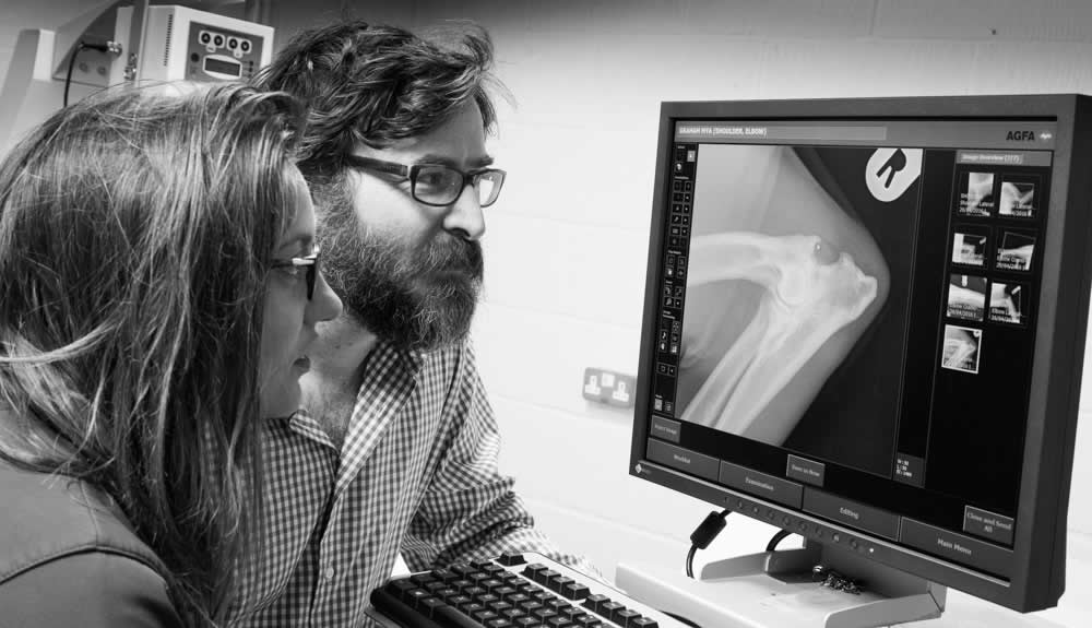 Opening Times Vet in Melton Mowbray 24hr Emergencies