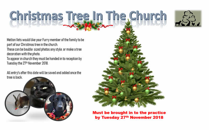 Be part of our Melton Christmas Tree!